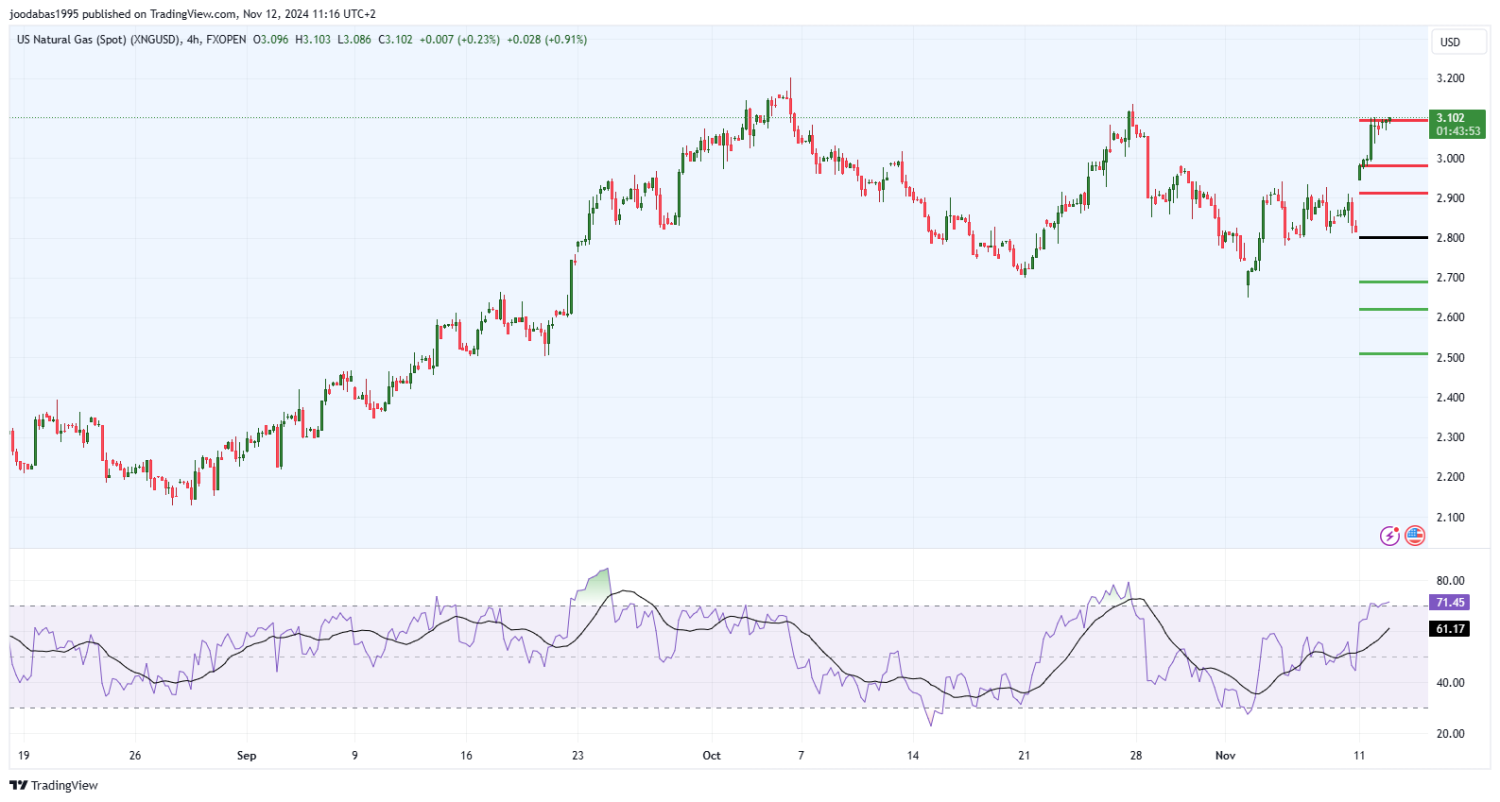 تحليل الغاز الطبيعي ليوم الثلاثاء الموافق 12-11-2024
